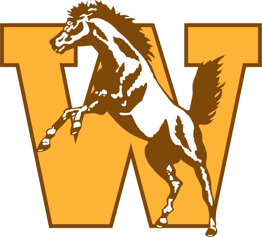 Western Michigan Broncos 1994-1998 Primary Logo iron on transfers for clothing